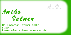 aniko velner business card